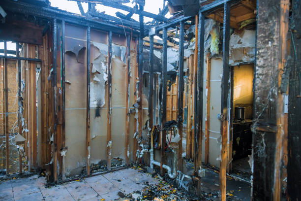 Professional Odor Removal technician working in Wyoming, MN