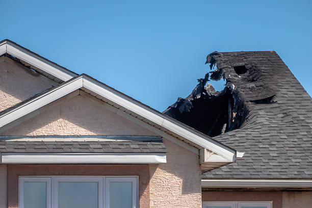 Top rated local Odor Removal specialists in Wyoming, MN